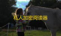 私人加密阅读器